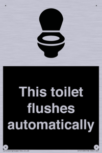 This toilet flushes automatically
